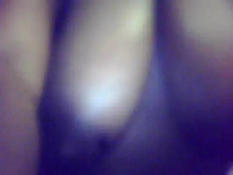 Barbie niela online show from 09.23.25
