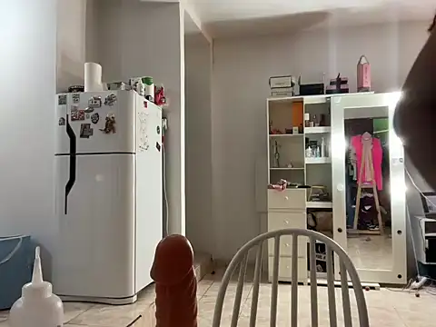 Snapshot of Hannahtwerk chatting on 11.04.25 Hannahtwerk online show from 11.04.25