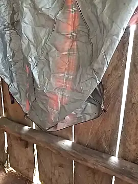 bonnie-00 online show from 11.04.25