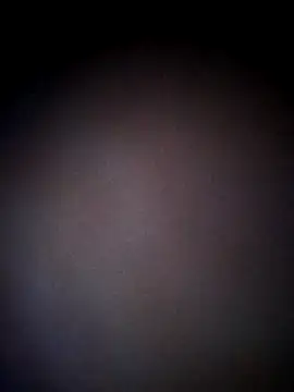 Snapshot of thehotlady chatting on 10.24.25 thehotlady online show from 10.24.25