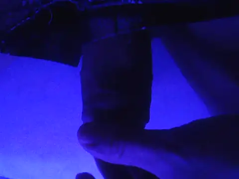 novinzs019 online show from 09.13.25