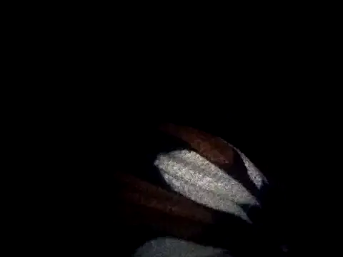 Snapshot of Naughty_gaurav chatting on 09.17.25 Naughty gaurav online show from 09.17.25