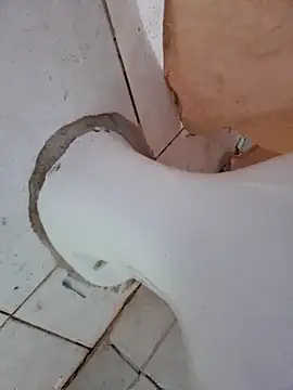 negaa25 online show from 10.12.25