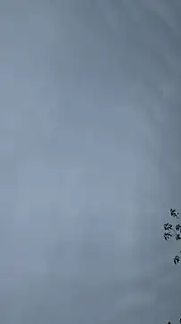 Snapshot of lulu5211 chatting on 10.26.25 lulu5211 online show from 10.26.25