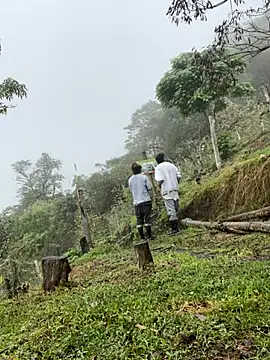 sky-wolves online show from 10.11.25