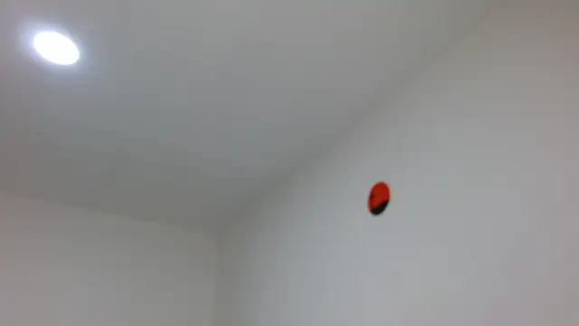 Snapshot of jaico_santos chatting on 02.16.26 jaico santos online show from 02.16.26