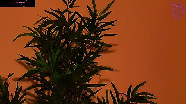 CoraVex online show from 09.26.25