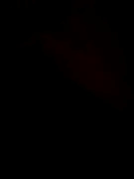 jenpaoo6- online show from 10.13.25