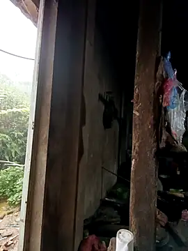 Snapshot of tulipsexy chatting on 10.16.25 tulipsexy online show from 10.16.25