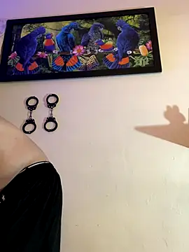 Matt your master  online show from 10.27.25