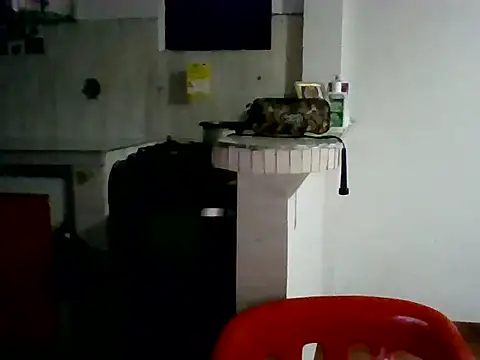 Snapshot of XavierFox1 chatting on 11.18.25 XavierFox1 online show from 11.18.25