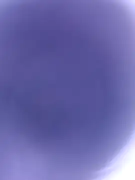 pussybebi online show from 02.22.26