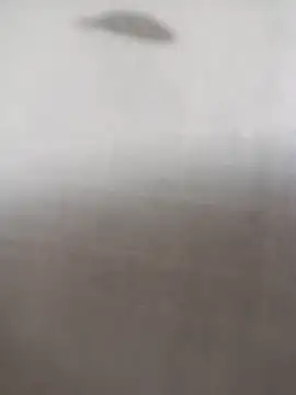 ipvk online show from 03.05.26