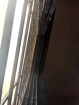 ipvk online show from 03.22.26