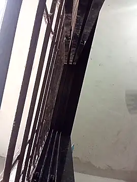 ipvk online show from 03.24.26