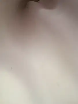 ipvk online show from 04.03.26