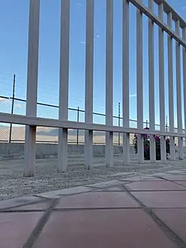 liahouses online show from 09.28.25