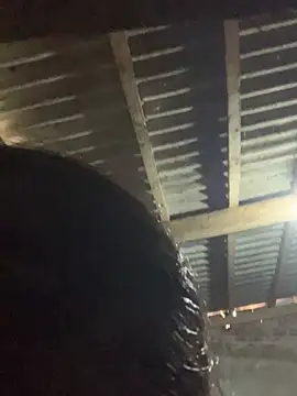 Halyy xx online show from 01.17.26