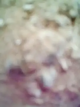 Snapshot of M-Kajal456 chatting on 11.04.25 M-Kajal456 online show from 11.04.25