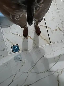 DICKLANKA online show from 01.18.26