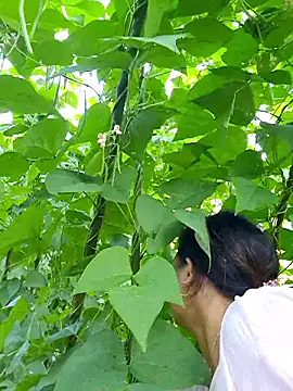 Snapshot of diamond-- chatting on 10.05.25 diamond-- online show from 10.05.25