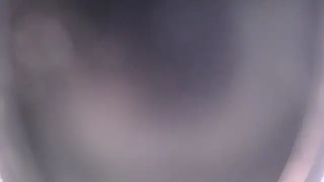 EmilyCley online show from 11.14.25