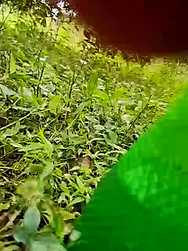 telugumodda4396 online show from 10.24.25