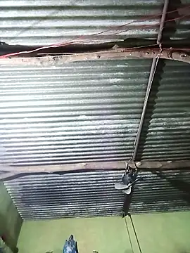 Haliya88 online show from 10.29.25