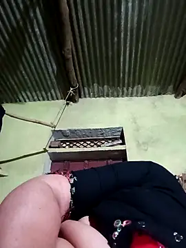 Haliya88 online show from 03.11.26