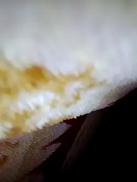 alone boy802 online show from 10.06.25