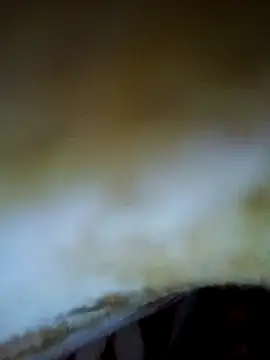 alone boy802 online show from 11.06.25