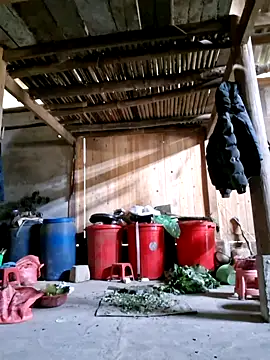 xuxulovezz online show from 02.26.26