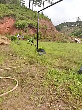 Helen-Tran online show from 11.21.25