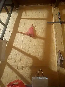 ruby-00 online show from 09.24.25