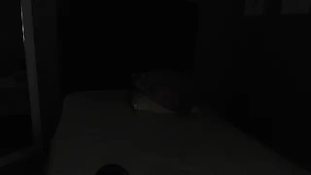 Snapshot of Vic_Taylor chatting on 11.07.25 Vic Taylor online show from 11.07.25