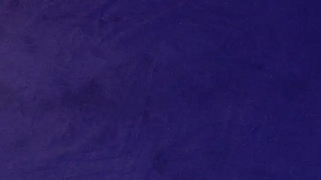 big bearr online show from 10.12.25