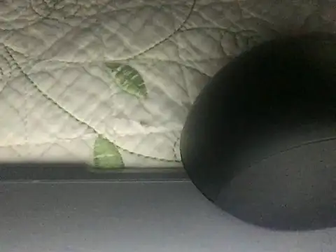 Snapshot of paula19800 chatting on 10.03.25 paula19800 online show from 10.03.25