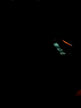 Snapshot of Gigolo31per31 chatting on 10.18.25 Gigolo31per31 online show from 10.18.25