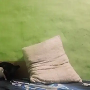 kaland69 online show from 11.09.25