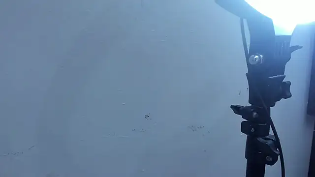 Kevinfox23cms online show from 11.11.25