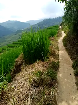 Snapshot of nhinhi-sexy chatting on 10.10.25 nhinhi-sexy online show from 10.10.25