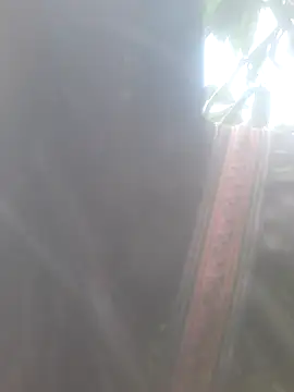 Snapshot of bree-zz chatting on 11.10.25 bree-zz online show from 11.10.25