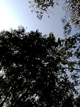 Rs sonam online show from 02.14.26