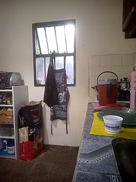 Snapshot of Arisbet333 chatting on 11.04.25 Arisbet333 online show from 11.04.25