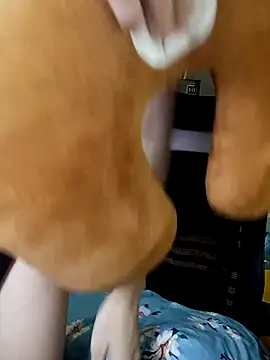 Snapshot of BiCute688 chatting on 11.01.25 BiCute688 online show from 11.01.25