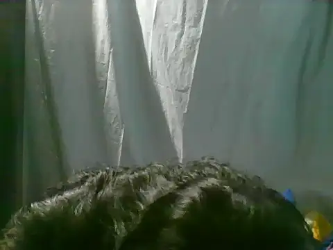 milagrose rose online show from 06.03.26