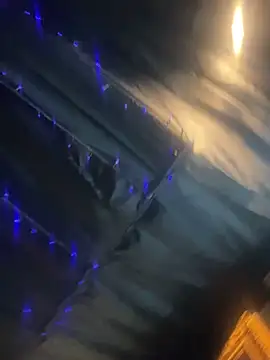 StarElexis online show from 03.17.26