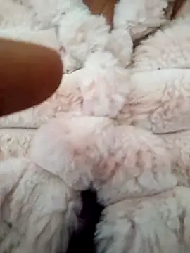 PEEHU-50 online show from 01.17.26