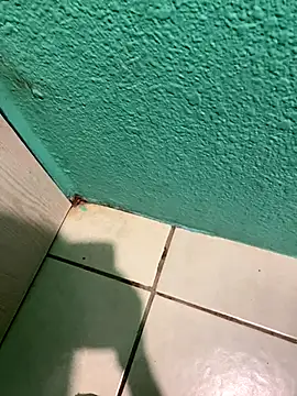 feetbooy online show from 12.22.25