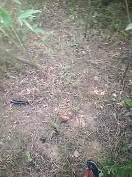 Snapshot of Aadityaaa07 chatting on 11.11.25 Aadityaaa07 online show from 11.11.25